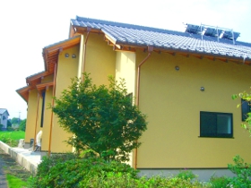 外観 複雑な形・つくりです。No3