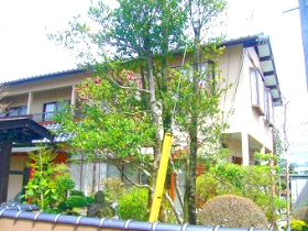 鹿沼市I様邸 外部塗装工事アフター画像 No2
